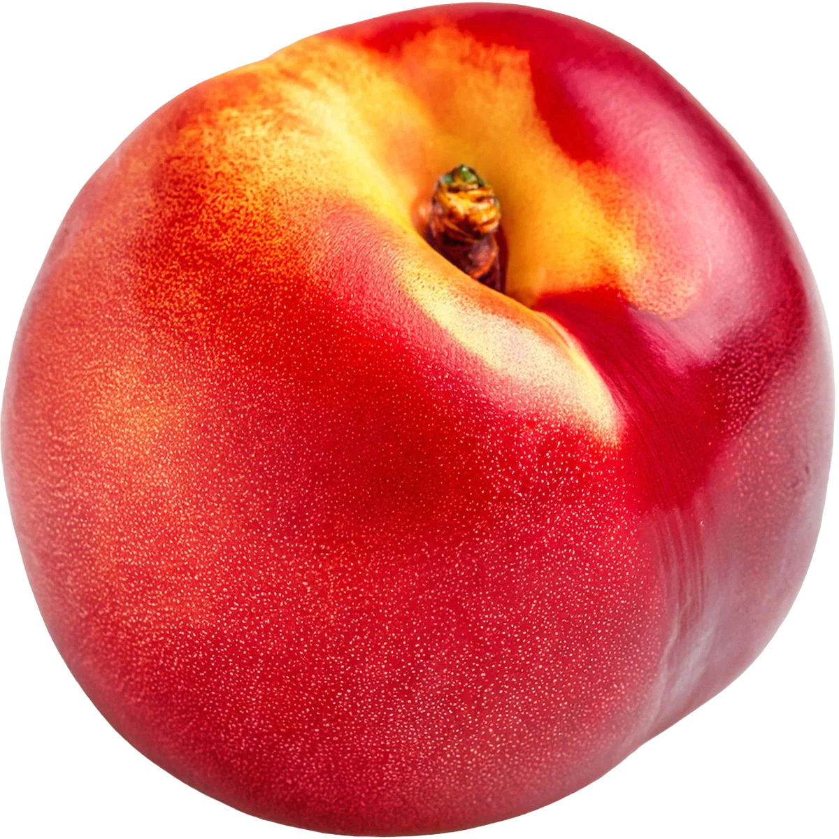 The Best Alcohol Free Perfumes for Women for Sensitive Skin and Sophisticated Taste 94 Nectarine