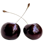 Dark, Delicious, Divine—The Best Black Cherry Perfumes to Wear Like a Secret 12 Black Cherry