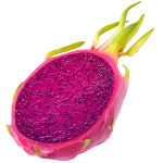 The Best Alcohol Free Perfumes for Women for Sensitive Skin and Sophisticated Taste 85 Dragonfruit