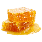 The Best Alcohol Free Perfumes for Women for Sensitive Skin and Sophisticated Taste 147 Honey