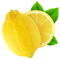 The Best Alcohol Free Perfumes for Women for Sensitive Skin and Sophisticated Taste 27 Lemon