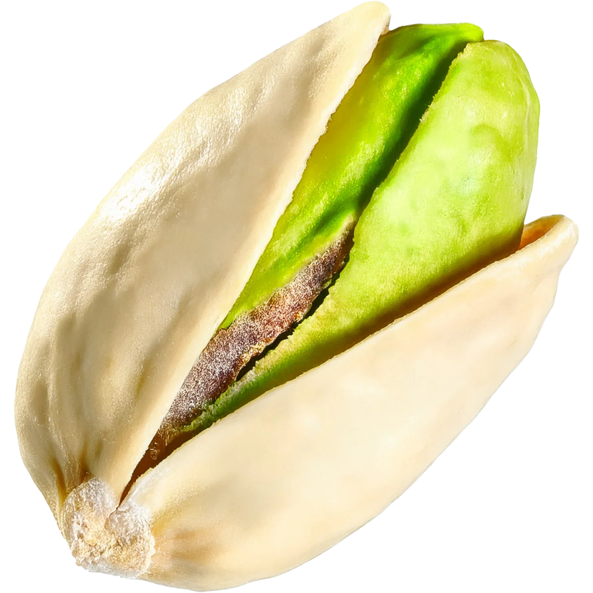 The Best Pistachio Perfume for Women Worth Adding to Your Fragrance Collection This Year 13 Pistachio