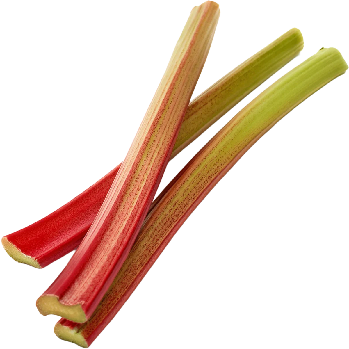The Best Alcohol Free Perfumes for Women for Sensitive Skin and Sophisticated Taste 95 Rhubarb